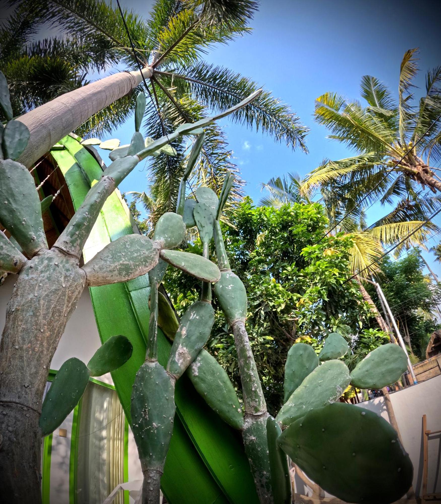 Kaktus Bungalow 4 Gili Air Exteriér fotografie