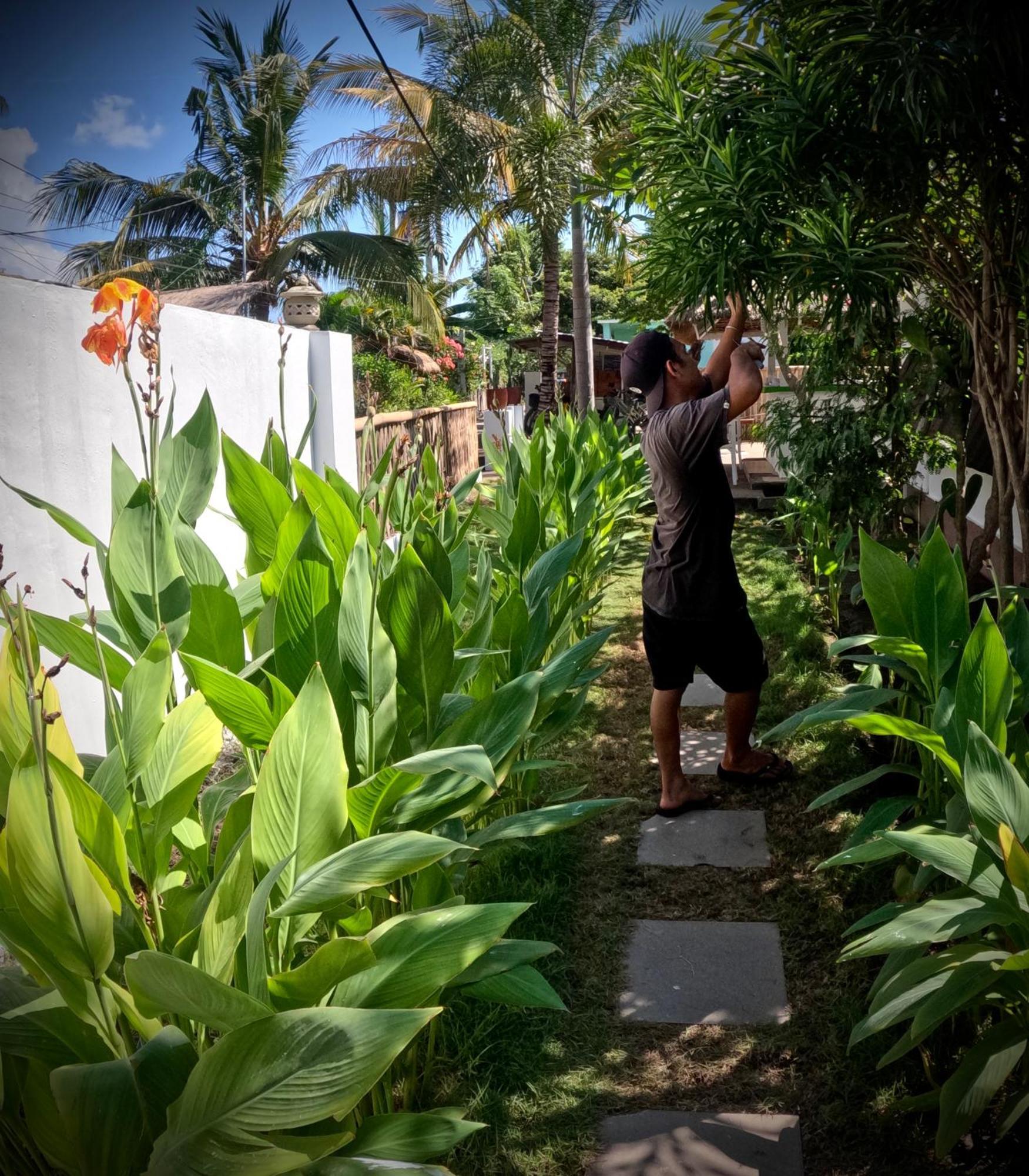 Kaktus Bungalow 4 Gili Air Exteriér fotografie